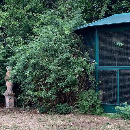 Maisonnette En Clairiere De Foret Gambais Exterior foto