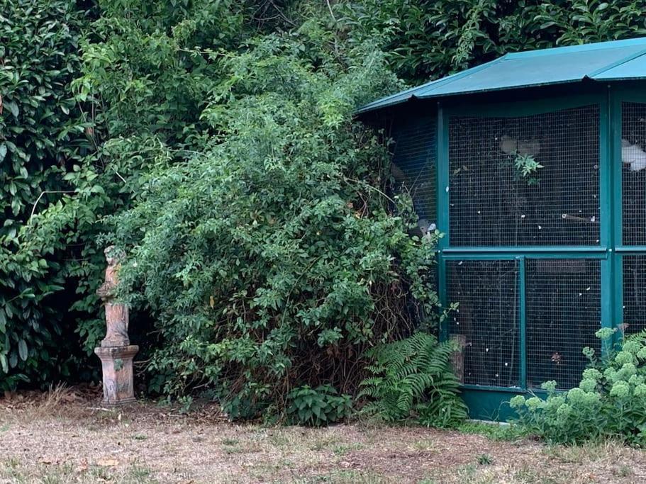 Maisonnette En Clairiere De Foret Gambais Exterior foto