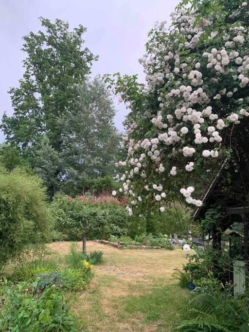 Maisonnette En Clairiere De Foret Gambais Exterior foto
