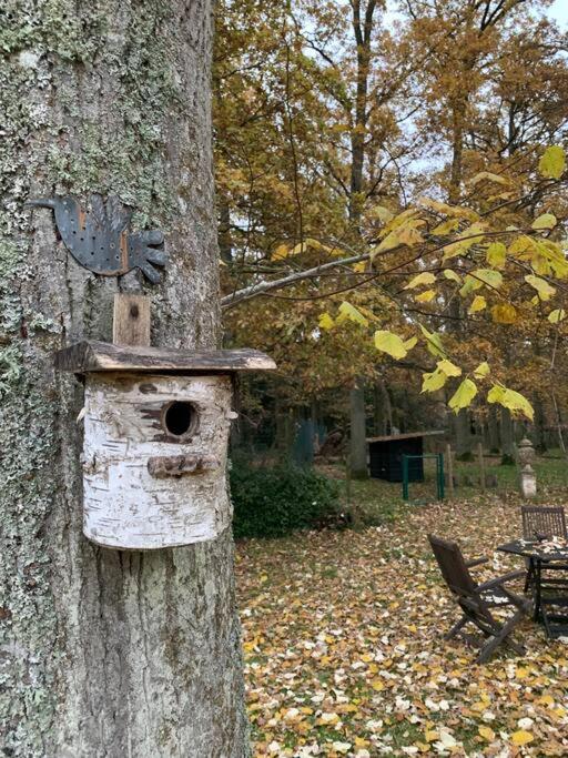 Maisonnette En Clairiere De Foret Gambais Exterior foto