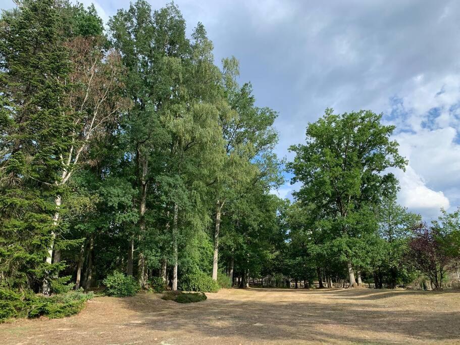 Maisonnette En Clairiere De Foret Gambais Exterior foto